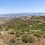 land for sale kato arodes paphos 8399488 thumbnail 17043605