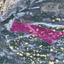 land for sale pera pedi limassol 1650488 thumbnail 15007001