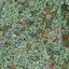 plot for sale lakatamia nicosia 1919488 thumbnail 7460769