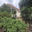 studio office for rent petrou kai pavlou limassol 7894488 thumbnail 17228858