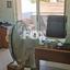 3 bedroom apartment for sale tsirion limassol 1187588 thumbnail 5567864