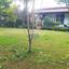 3 bedroom bungalow for sale meneou larnaca 8447588 thumbnail 16161416