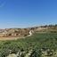 land for sale pachna limassol 954688 thumbnail 15603508