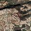 2676 SQM Land for sale in Lefkara, Larnaca thumbnail 2830226
