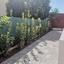 3 bedroom bungalow for sale larnaca municipality larnaca 8279788 thumbnail 13998503