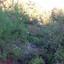 land for sale moniatis limassol 7739788 thumbnail 12172694