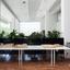 studio office for rent agioi omologitai nicosia 8897788 thumbnail 17352123