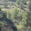 land for sale agios epifanios oreinis nicosia 1341988 thumbnail 6818689