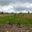 land for sale kathikas paphos 8531988 thumbnail 16277399
