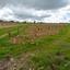 land for sale kathikas paphos 8531988 thumbnail 16277400