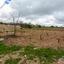 land for sale kathikas paphos 8531988 thumbnail 16277401