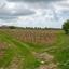 land for sale kathikas paphos 8531988 thumbnail 16277402