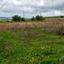 land for sale kathikas paphos 8531988 thumbnail 16277405