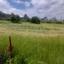 land for sale psevdas larnaca 8457988 thumbnail 16632640