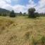 land for sale psevdas larnaca 8457988 thumbnail 16632652