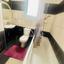 2 bedroom penthouse for rent latsia nicosia 8864098 thumbnail 17217833