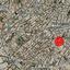 land for sale paphos municipality paphos 7739098 thumbnail 11406444