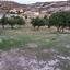 land for sale pissouri limassol 8339098 thumbnail 14360936