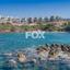 3 bedroom detached house for sale kissonerga paphos 7838198 thumbnail 10765879