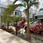 7 bedroom detached house for sale geroskipou plage paphos 7546198 thumbnail 10305915