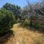 4 bedroom town house for sale kiti larnaca 8705298 thumbnail 16249890