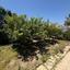 4 bedroom town house for sale kiti larnaca 8705298 thumbnail 16249904