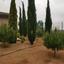 5 bedroom detached house for sale kato polemidia limassol 979298 thumbnail 9916428