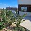 5 bedroom semi detached house for sale ilioupoli nicosia 7756298 thumbnail 10322132