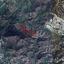 land for sale kornos larnaca 8509298 thumbnail 15355247