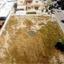 plot for sale kaimakli nicosia 1505298 thumbnail 14639167