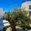 4 bedroom detached house for rent kissonerga paphos 8758398 thumbnail 16548068