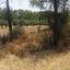 land for sale lythrodontas nicosia 1098398 thumbnail 16175883