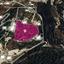 land for sale neo chorio paphos 8629398 thumbnail 15868175