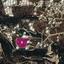 land for sale neo chorio paphos 8629398 thumbnail 15868177