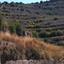 land for sale pachna limassol 967398 thumbnail 17158565