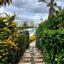 3 bedroom detached house for sale peyia paphos 7766498 thumbnail 10345243