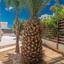 3 bedroom detached house for sale protaras famagusta 1281498 thumbnail 2874530