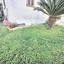 5 bedroom detached house for sale aradippou larnaca 1666498 thumbnail 13144621