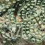 land for sale tsada paphos 8958498 thumbnail 17772704