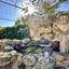 studio mixed use project for sale anarita paphos 8360498 thumbnail 14692660