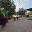 3 bedroom detached house for sale aphrodite hills paphos 8151598 thumbnail 13456038