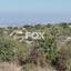 land for sale tala paphos 1896598 thumbnail 7203781