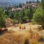 plot for sale agios theodoros soleas nicosia 1650698 thumbnail 5675434