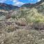 6820 SQM Land for sale in Agioi Vavatsinias, Larnaca thumbnail 15603317