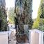 3 bedroom detached house for sale agia thekla famagusta 7660798 thumbnail 9955637