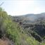 land for sale pano akourdalia paphos 869798 thumbnail 15600156