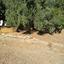 3 bedroom detached house for sale moni limassol 979898 thumbnail 9395933