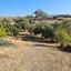3 bedroom detached house for sale moni limassol 979898 thumbnail 9395940