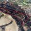 land for sale drimou paphos 839898 thumbnail 7332255