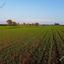 land for sale xylofagou larnaca 1657898 thumbnail 15864996